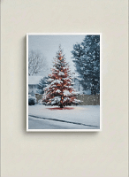 Vibrant Holiday Watercolor: Art Decor